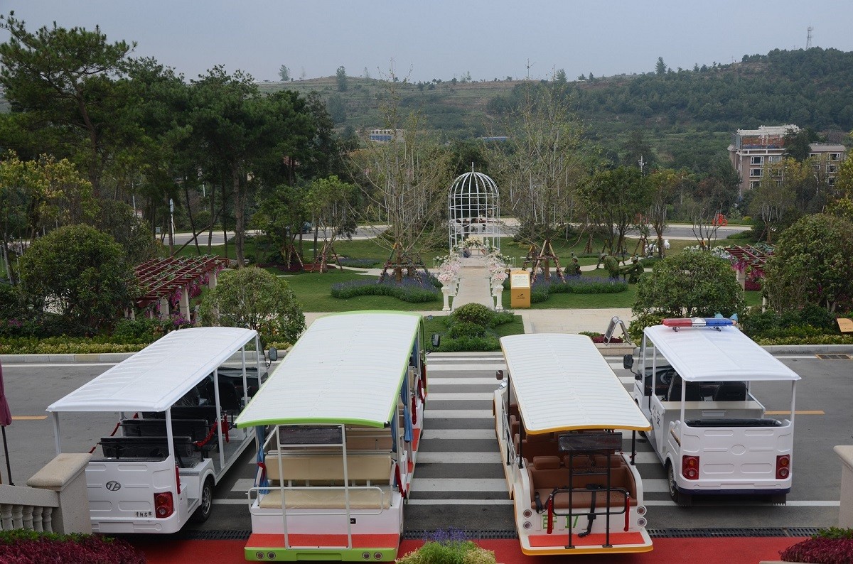 忠輝觀光車花溪碧桂園客戶案例圖片