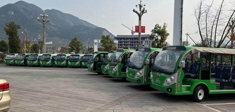 百里杜鵑觀光車案例圖片 百里杜鵑觀光車案例圖片