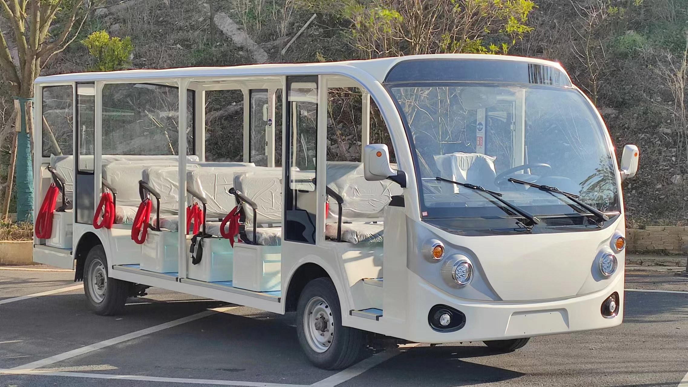 忠輝觀光車(chē)