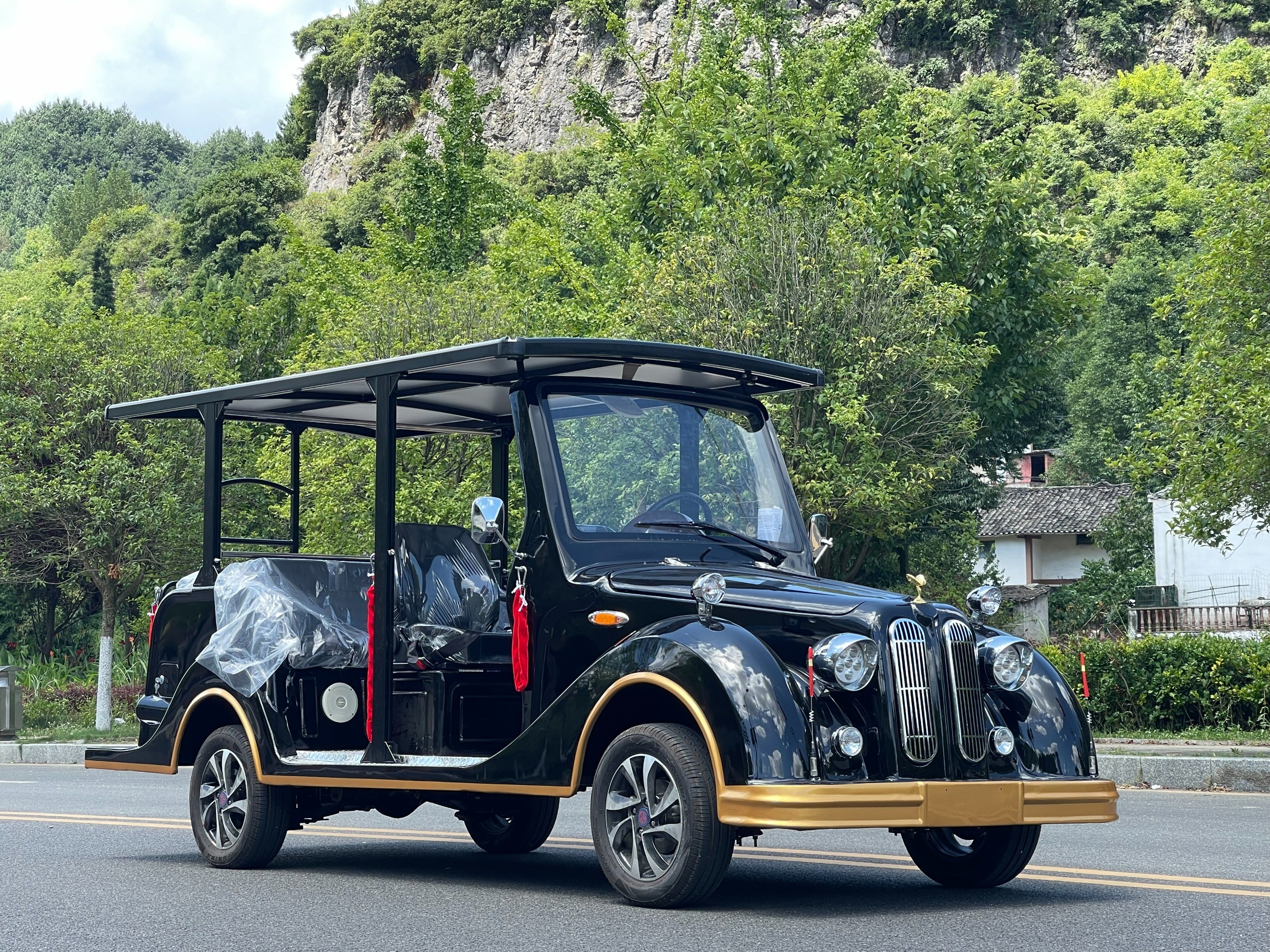 忠輝觀光車(chē)