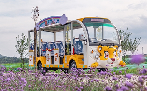 旅游景區(qū)為什么要用燃油觀光車？