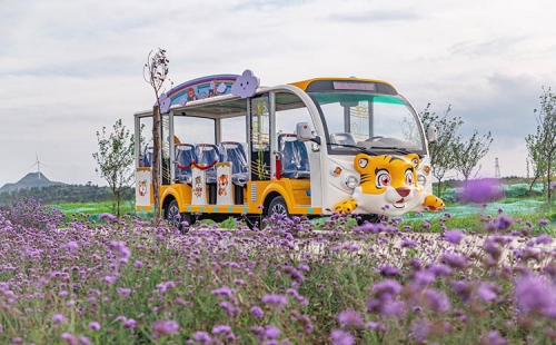 電動觀光車相對燃油觀光車來說有什么優(yōu)勢？